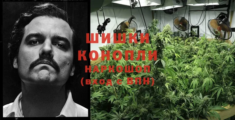 наркотики  Ершов  Бошки марихуана OG Kush 